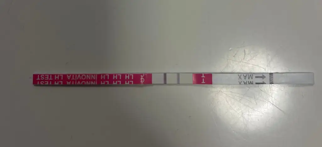 WhatsApp Image 2025-10-27 at 17.04.06.webp