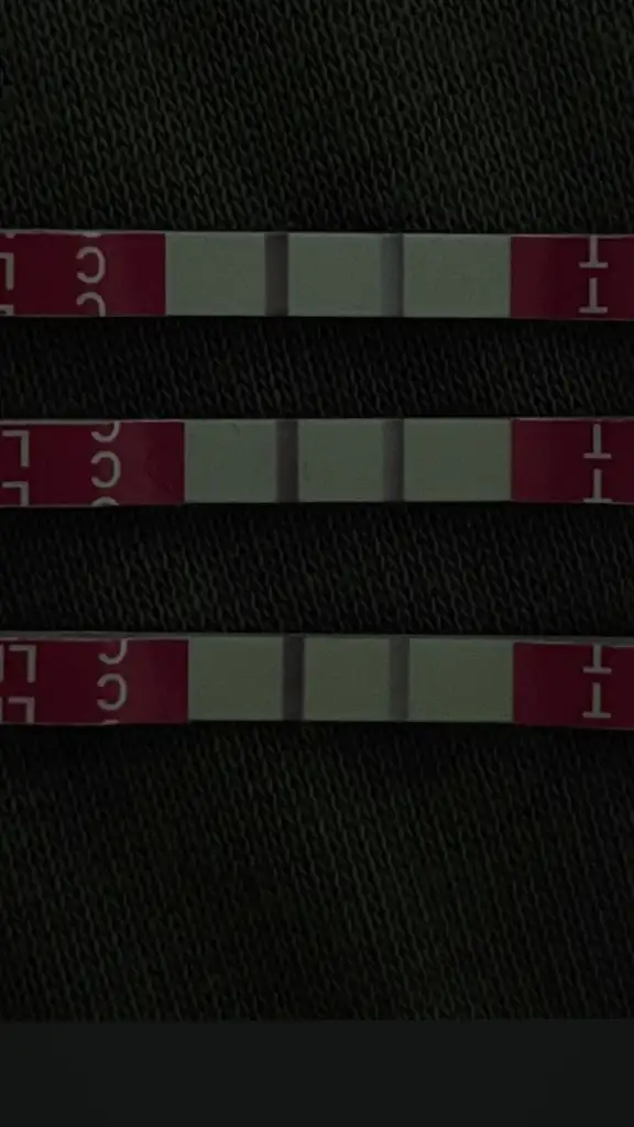 WhatsApp Image 2025-10-28 at 15.36.43.webp