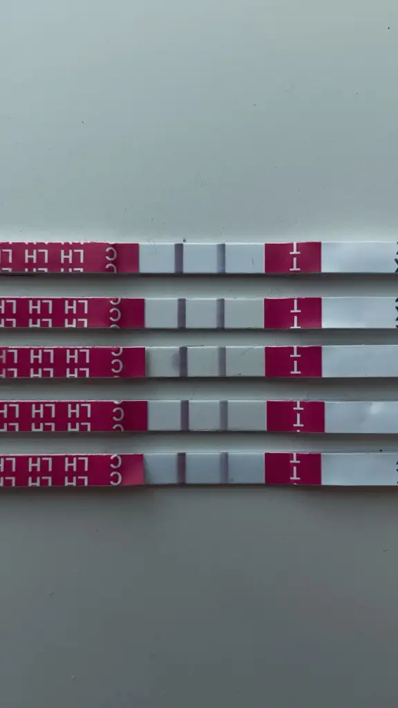 WhatsApp Image 2025-10-30 at 10.11.45.webp