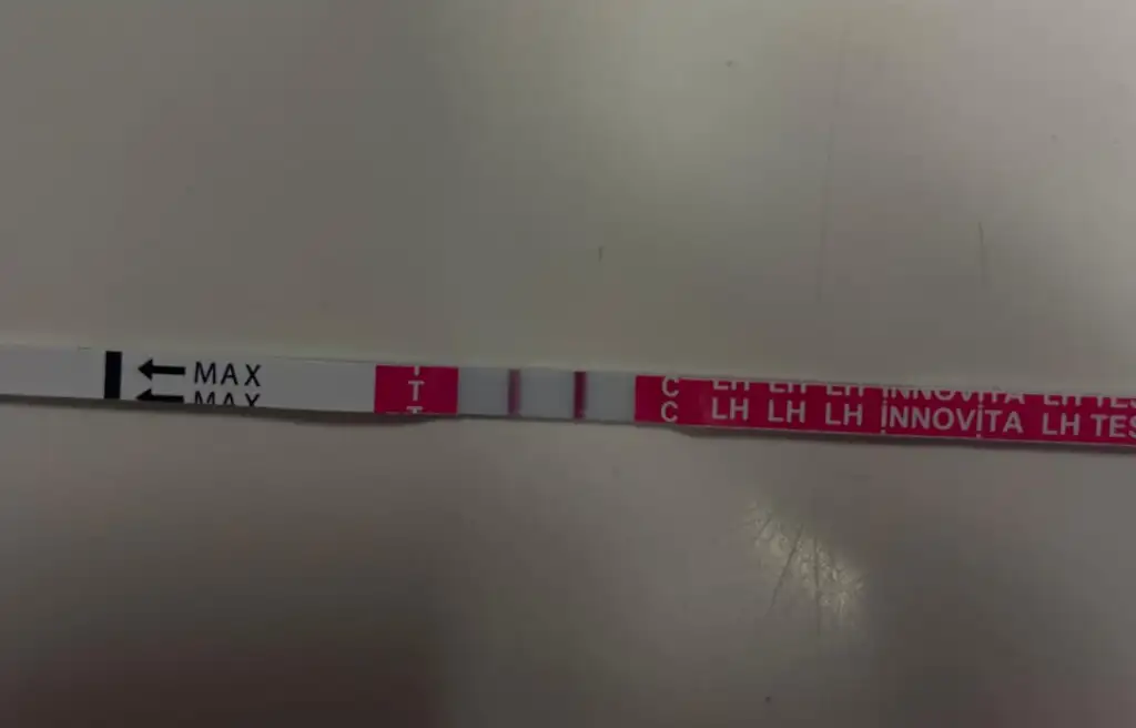 WhatsApp Image 2025-11-26 at 11.43.36.webp