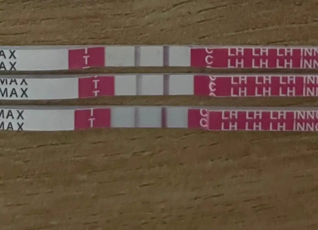 WhatsApp Image 2025-11-28 at 12.46.03.webp