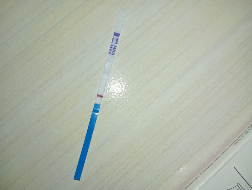 WhatsApp Image 2025-12-26 at 21.12.58.webp