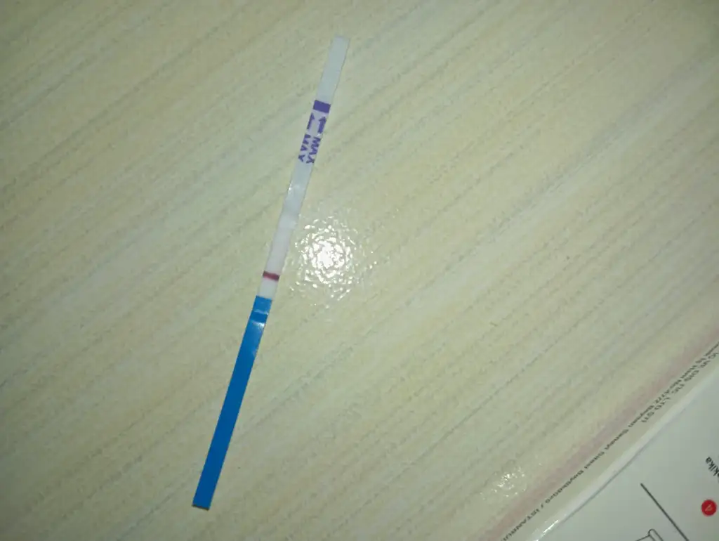 WhatsApp Image 2025-12-26 at 21.13.03.webp