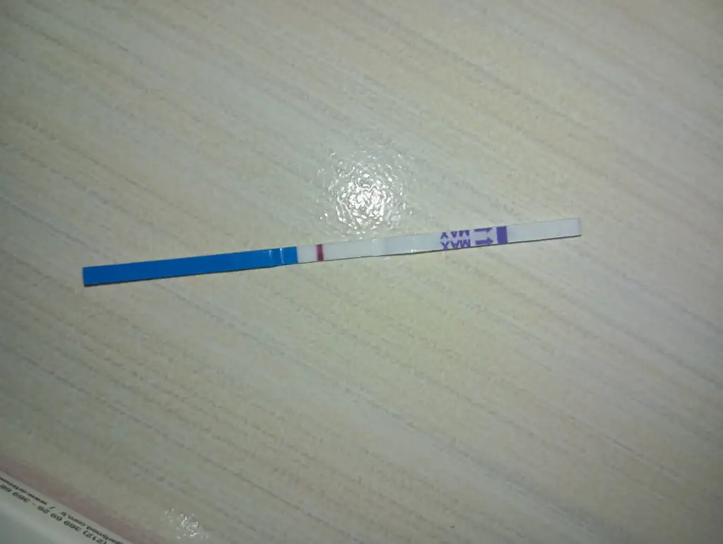 WhatsApp Image 2025-12-26 at 21.15.05.webp