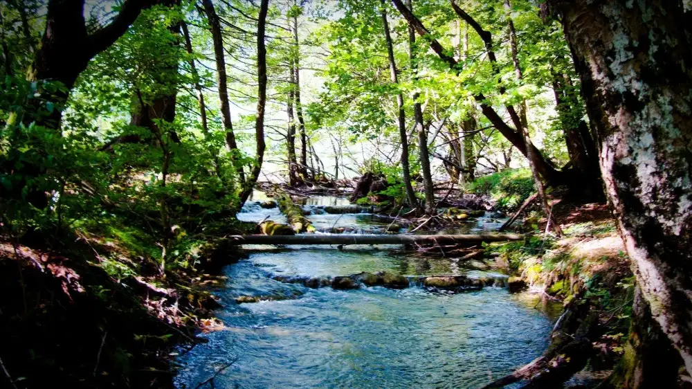 wild-river-plitvice-lakes-national-park-croatia.webp