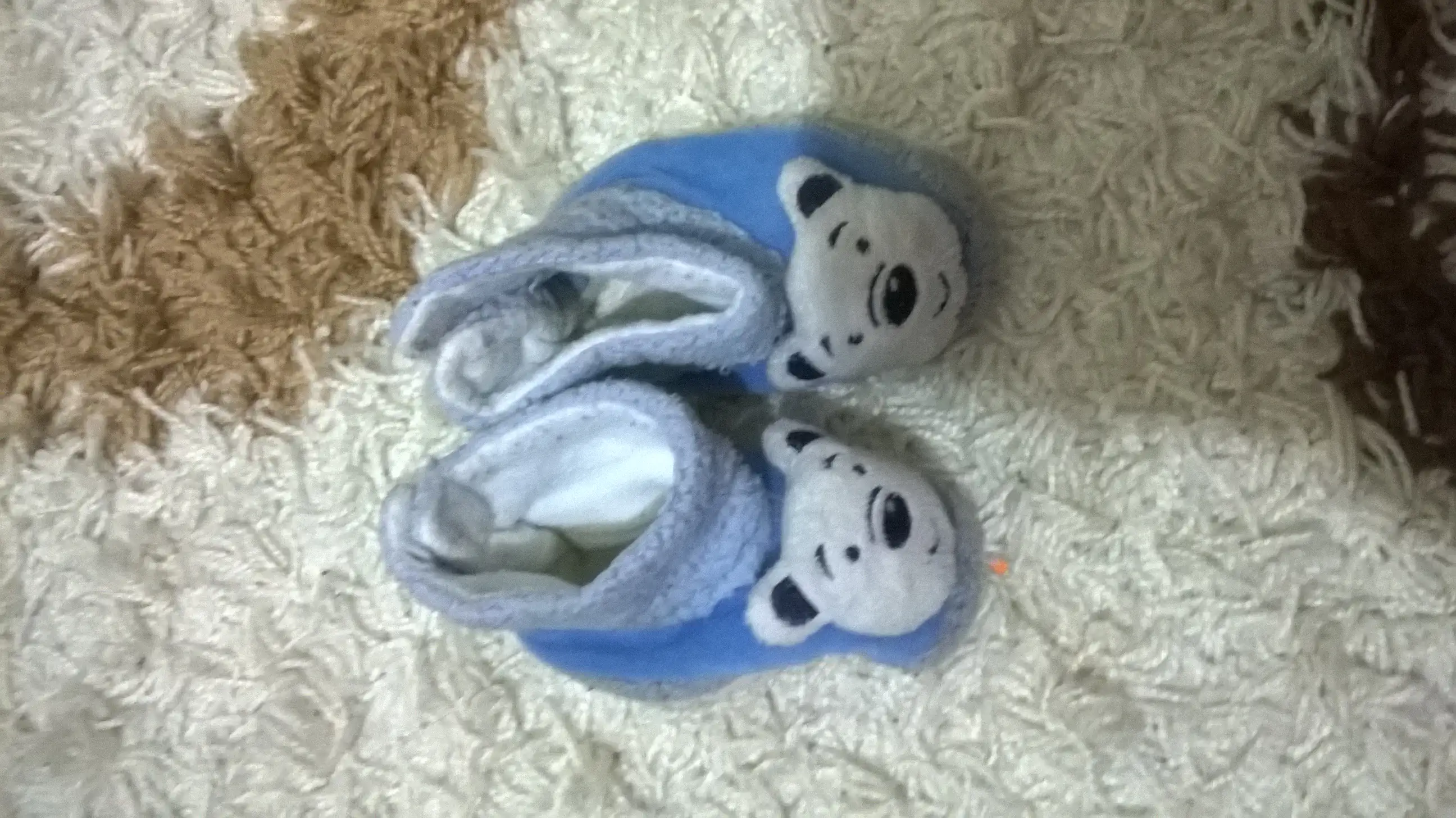 WP_20141117_002.webp