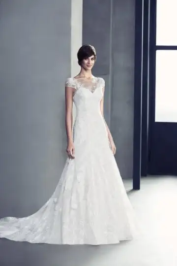 wpd12557tr(1).webp