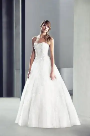 wpd12597tr(1).webp