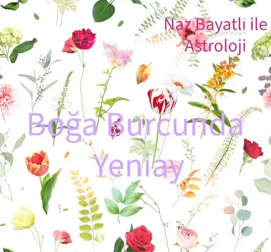 xsd.webp