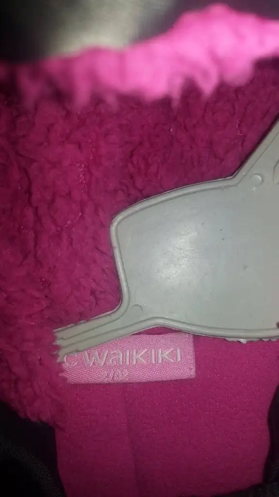 y 058.webp