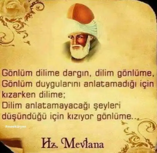y (4).webp