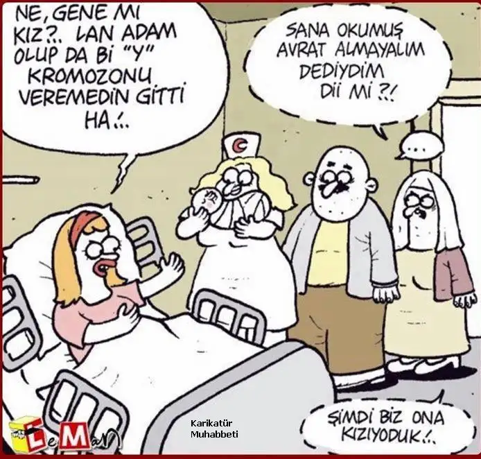 y.webp