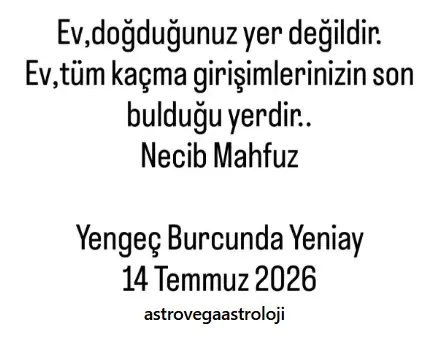 y.webp