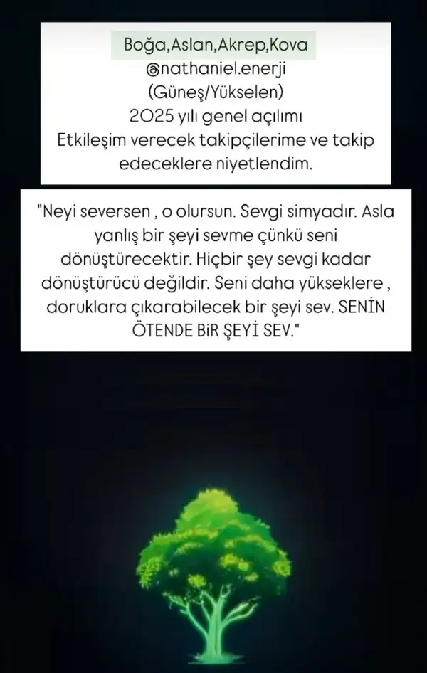 y1 (1).webp