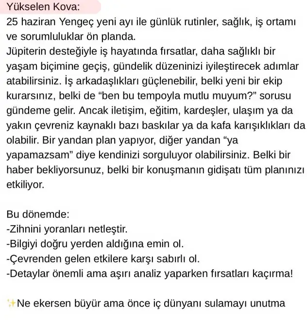 y1 (11).webp