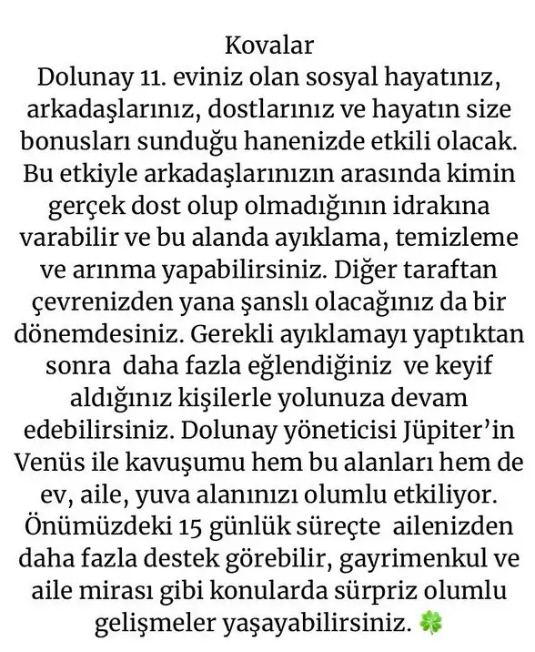 y1 (12).webp