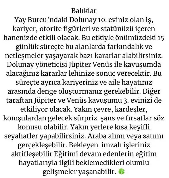 y1 (13).webp