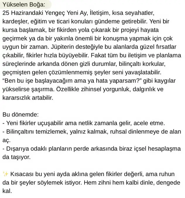 y1 (2).webp