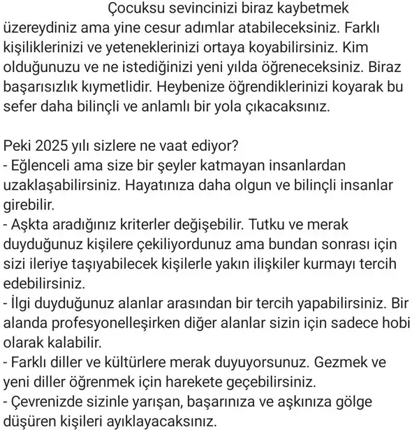 y1 (4).webp