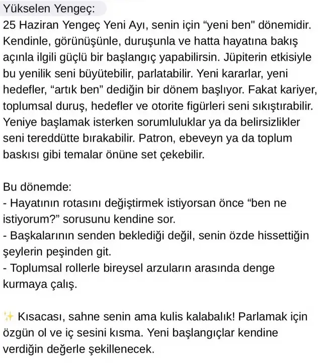 y1 (4).webp