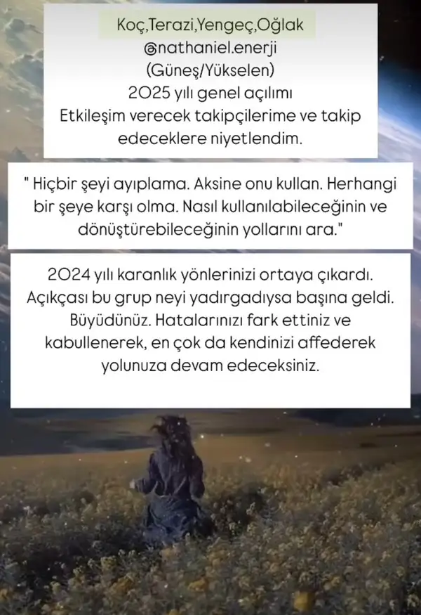 y1 (5).webp