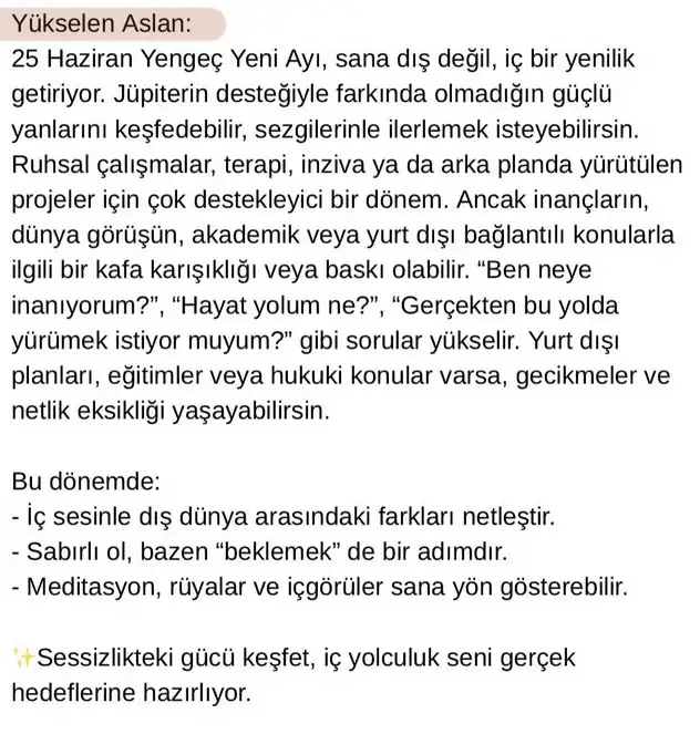 y1 (5).webp