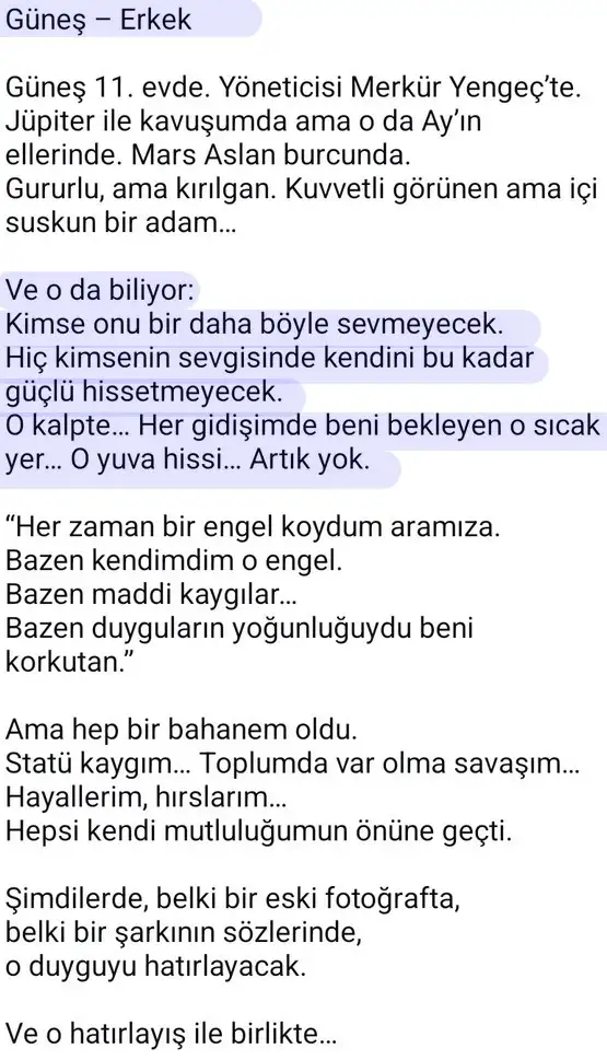 y1 (6).webp