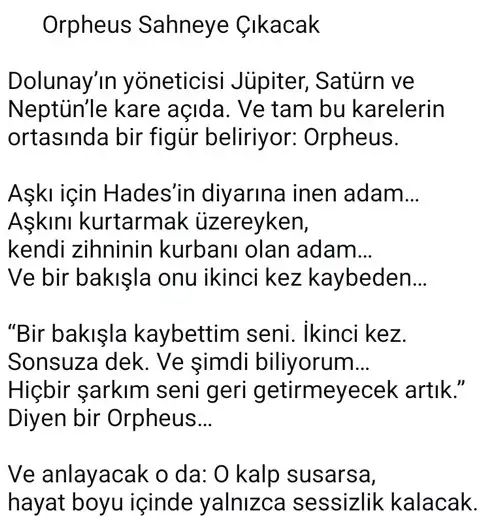 y1 (7).webp