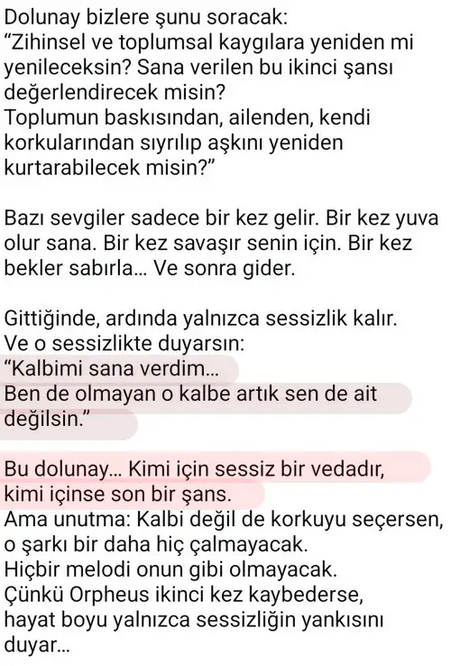y1 (8).webp