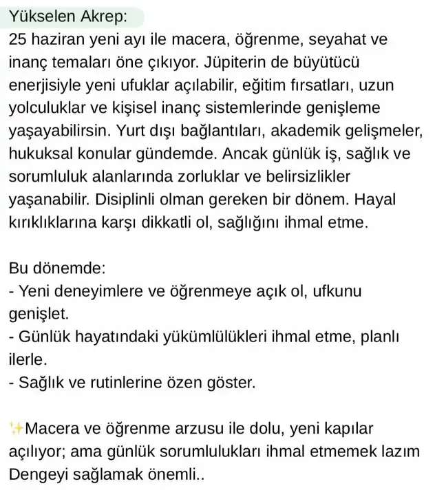 y1 (8).webp