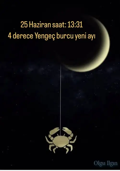 y1.webp
