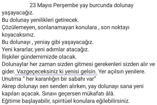 y122 (2).webp