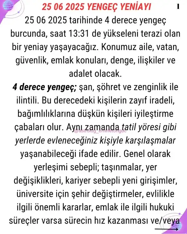 y13 (1).webp