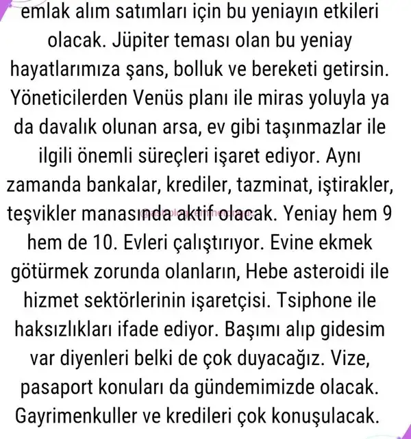 y13 (2).webp