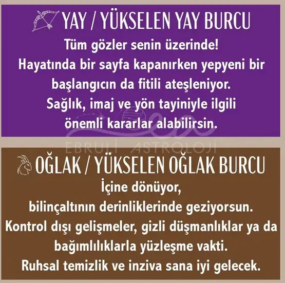 y14 (6).webp