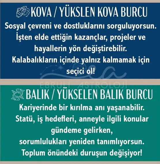 y14 (7).webp