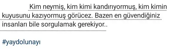 y143 (2).webp