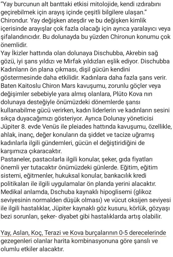 y15 (8).webp