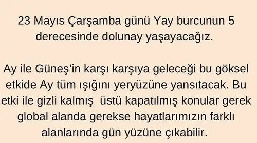 y16 (2).webp