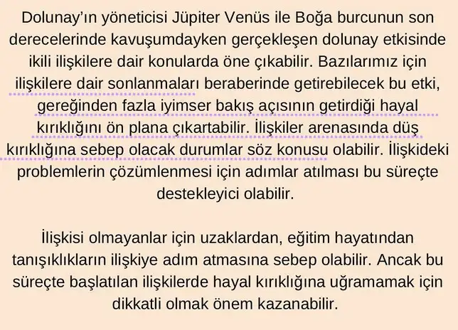 y16 (4).webp