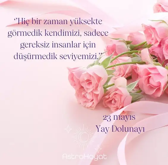 y16.webp