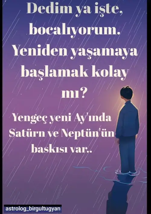 y16.webp