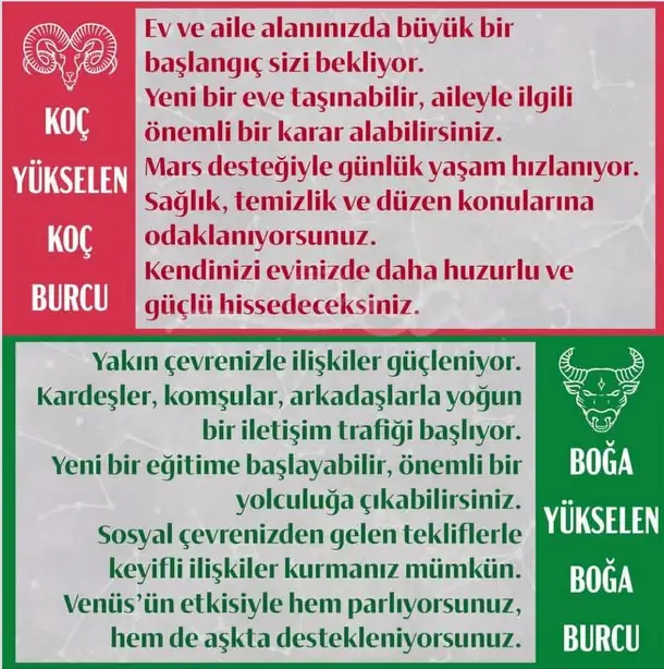 y18 (2).webp