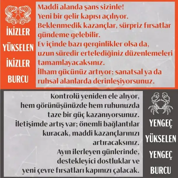 y18 (3).webp