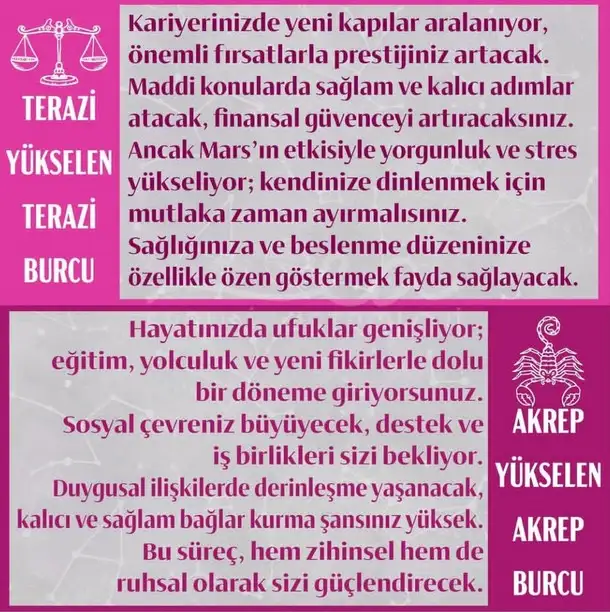 y18 (5).webp