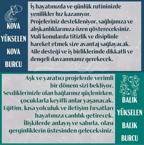 y18 (7).webp