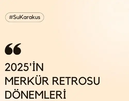 y2 (1).webp