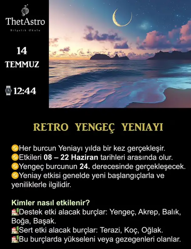 y2 (1).webp