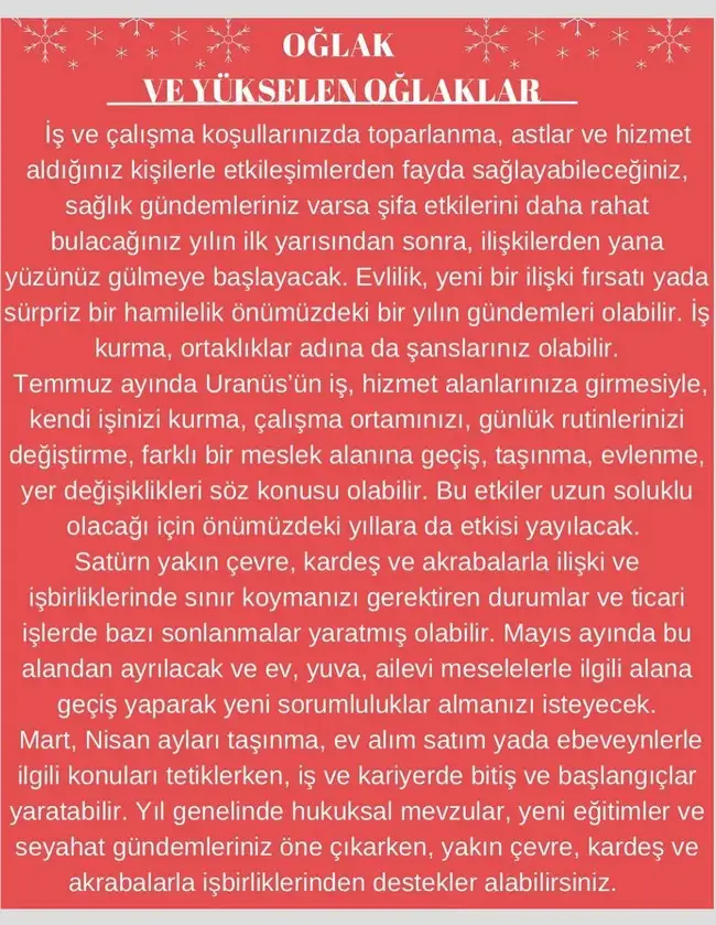 y2 (11).webp