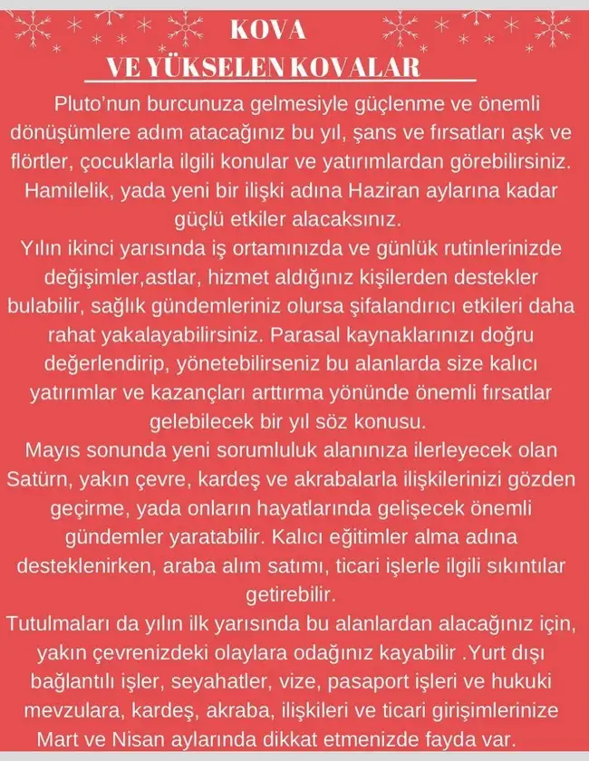 y2 (12).webp